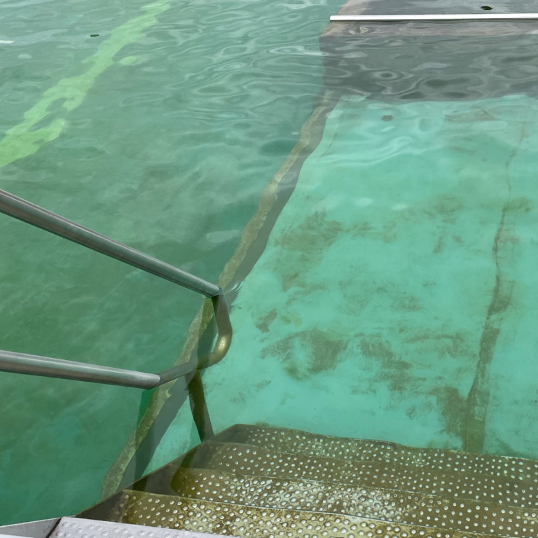 Einstieg in ein Naturbad Einstieg in ein Naturbad